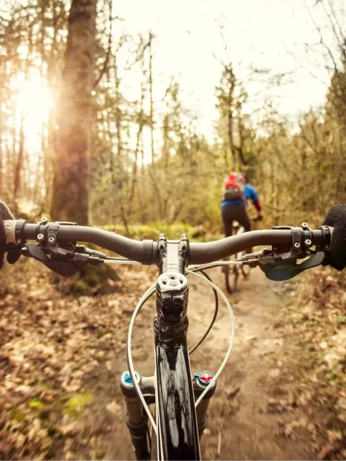 Maastopy&ouml;r&auml;ily&auml; mets&auml;polulla, aurinko paistaa puiden lomasta.